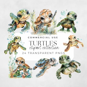 Tortuga de acuarela, Tortuga bebé, Imágenes prediseñadas de acuarela, Imágenes prediseñadas de océano, Paquete de imágenes prediseñadas, Imágenes prediseñadas de animales marinos, Sublimación de tortuga, Tortuga marina bebé