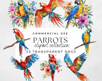 Parrot Clipart Watercolor Parrot Tropical Clipart Cockatoo Clipart Tropical Parrot Png Macaw Clipart, Bird Watercolor, Cute Parrot