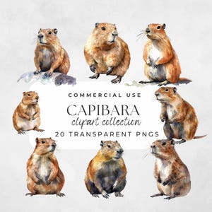 Capibara Clipart, Capybara Watercolor, Capibara Png, Capybara Birthday, Cute Capybara Png, Capybara Party, Kawaii Capybara
