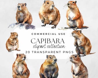 Capibara Clipart Capybara Watercolor Capibara Png Capybara Birthday Cute Capybara Png Capybara Party, Kawaii Capybara