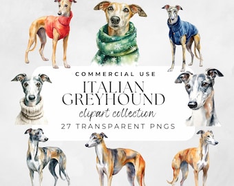 Watercolor Italian Greyhound Clipart Winter Sighthound Sweater Dog Graphics PNG Symbol Illustration Art Cricut Cute Dog Breed Illustration