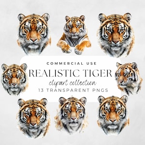 Tiger PNG, Tiger Clipart, Tiger Art, Tiger Illustration, Tiger Sublimation, Baby Tiger Watercolor, Tiger Head, Tiger Artwork