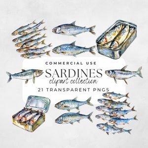 Graphiques de sardines, art de la boîte de conserve de poisson, art de la boîte de sardines, illustration de fruits de mer, clipart de sardine, impression de poisson, impression de sardines, sardines gourmandes