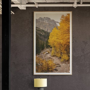 Colorado Landscape Wall Art - Rocky Mountain National Park