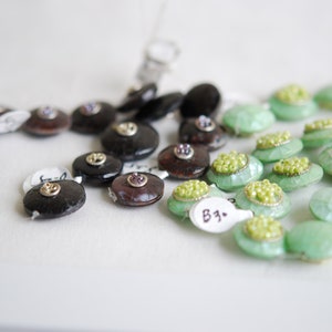 Decorated Mother of Pearl beads coin/sea shell beads/shell beads/seashell beads/natural shell beads/jewelry supply parts/unique/MOP beads
