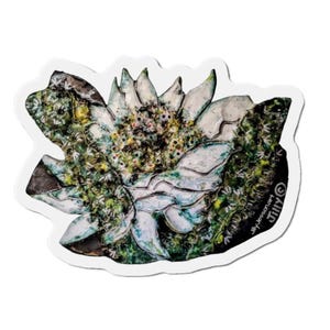 May include: A sticker featuring a stylized floral design with white, green, and blue hues. The artwork has a textured appearance, with visible brushstrokes and a mix of colors. The artist's signature, "Jilly Jesson art," is visible.