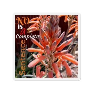 May include: A square sticker featuring a vibrant orange flower with long, slender petals. The sticker has the text "NO is a Complete Sentence" in a mix of fonts and colors, with the artist's signature in the corner.