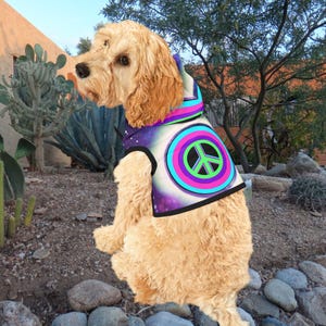 May include: A light brown dog wearing a purple, white, and green hooded vest with a peace sign graphic. The vest has a galaxy print.