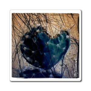 Cactus Heart Series by Jilly Jesson