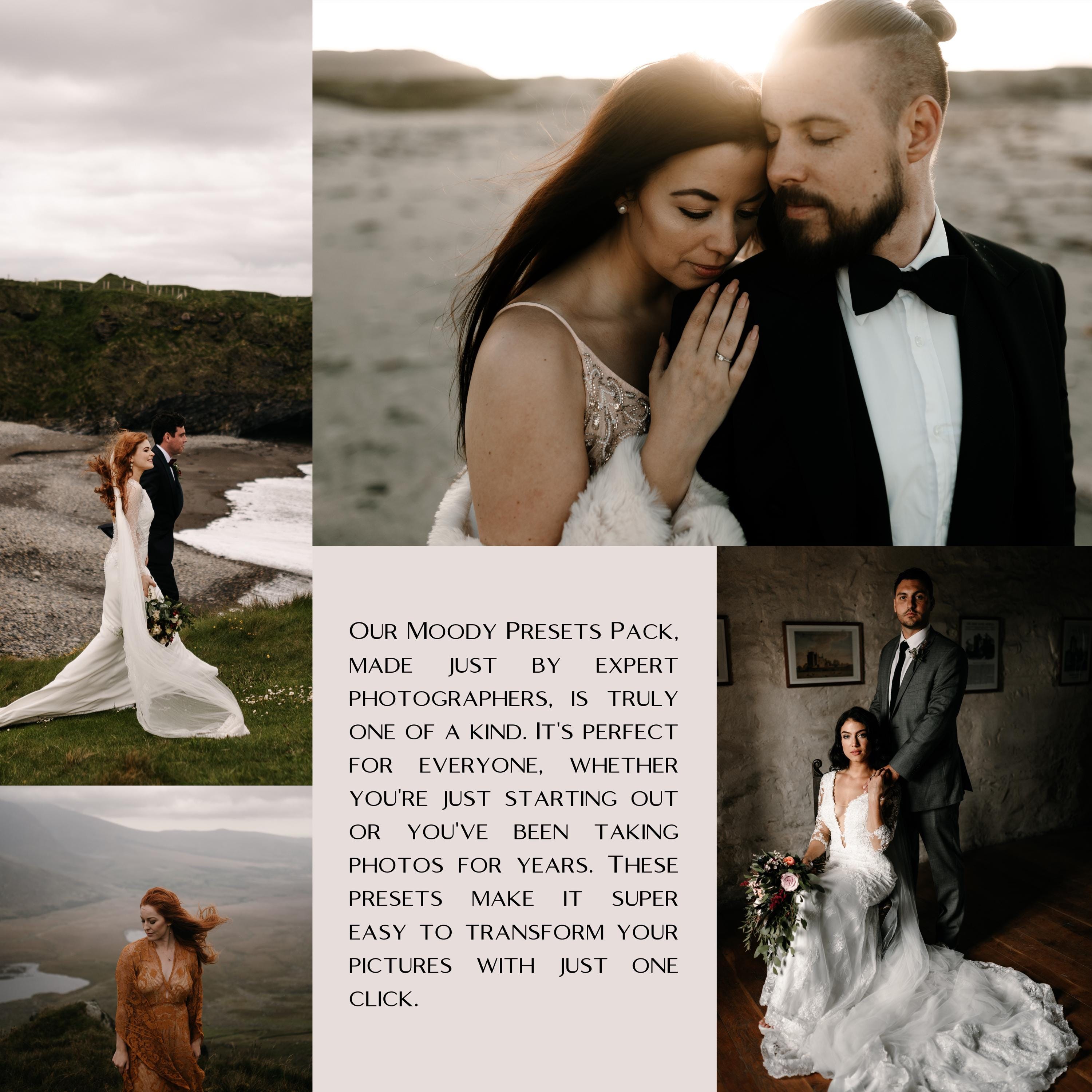 All in One Bundle Preset Pack Luxury Modern Vogue Light and Airy Moody ...