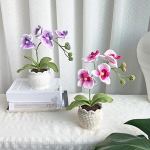 May include: Two crochet orchid plants in white pots. One orchid has purple and white flowers, the other has pink and white flowers. The plants sit on a white surface with a white curtain backdrop. The pots have a scalloped edge.