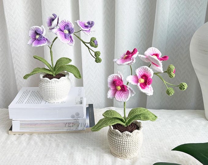 Crochet flower pot. Handmade phalaenopsis orchid Potted Plant. Birthday or Mother’s Day gift  for her.