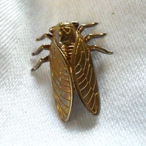 May include: A gold-toned cicada brooch with detailed wings. The brooch is made of metal and has a realistic design.