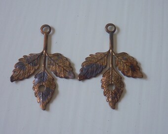 2 Vintage Leaves