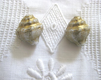 Pair Czech Glass Sea Shell Beads