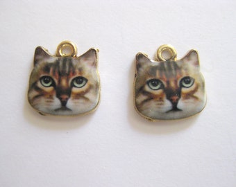 Pair Enameled Brass Brown Tabby Cat Head Charms