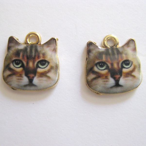 Pair Enameled Brass Brown Tabby Cat Head Charms