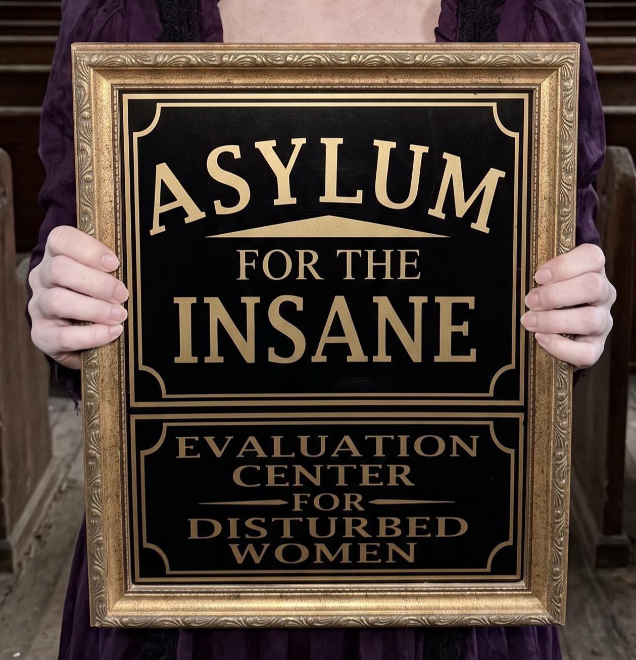 Insane Asylum Sign Funny Farm Disturbed Women Sign - Etsy