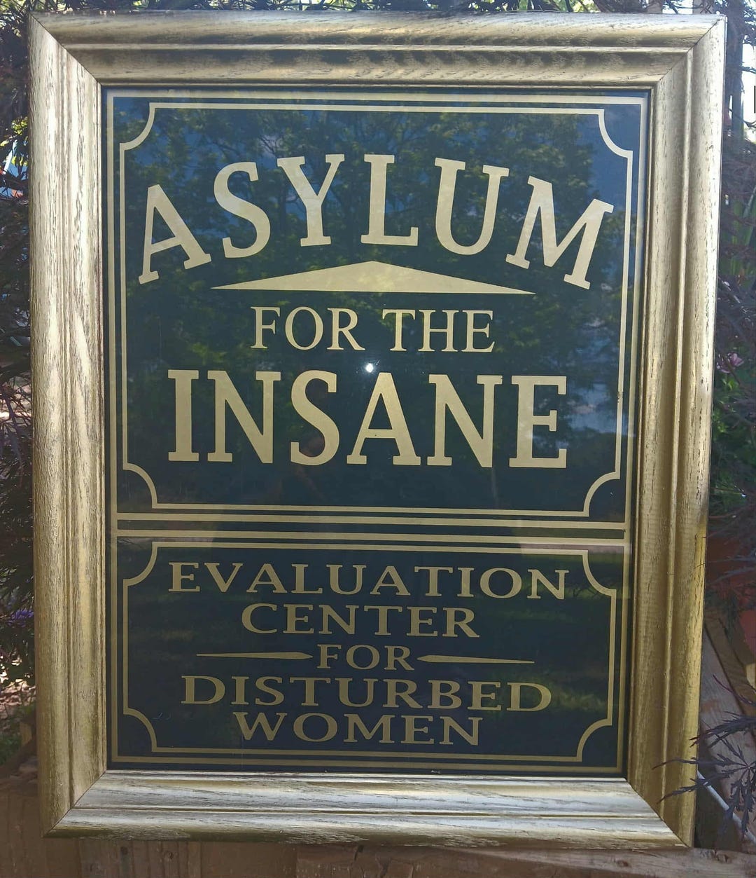 Customizable Insane Asylum Sign: Halloween Haunted House Decor - Etsy