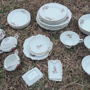 Antique Moss Rose China Set - Etsy
