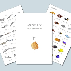 Puede incluir: Tres páginas blancas con ilustraciones de vida marina. Una página enumera varias especies de tiburones, otra peces de arrecife, y la página central tiene el texto "Marine Life What I've Seen So Far".