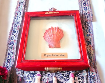 Vintage Scallop Shell Trinket Box: Velvet Lined Jewelry Holder
