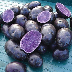 May include: A collection of purple potatoes, some whole and some halved, displaying their vivid purple interior. The potatoes have a smooth, dark purple skin and are presented on a light blue surface.