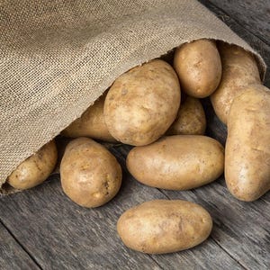 Simply Seed™ - Russet Burbanks - Naturally Grown Seed Potatoes - 5 LBS - Order Now For Fall Planting