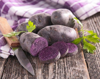 Simply Seed - Blue Potato Seed - 3 LB Ready To Grow - Farm Fresh - Non GMO - Order Now For Planting