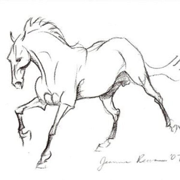 Fantasy Stallion Sketch