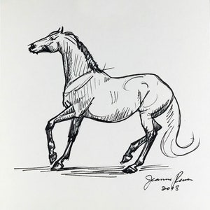 Horse art original horse sketch thoroughbred quarter horse pen & ink sketch horse drawing equestrian art contemporary art horse lover gift