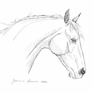 Horse art original pen & ink horse drawing sketch &quot;Head Study&quot; 5x7 equestrian equine fine art