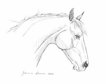 Horse art original pen & ink horse drawing sketch "Head Study" 5x7 equestrian equine fine art
