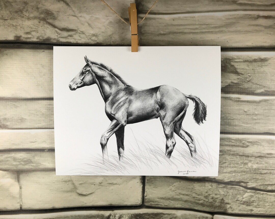 Realiste Dessin De Cheval Au Galop Poulain cheval art impression de graphite original dessin - Etsy Canada