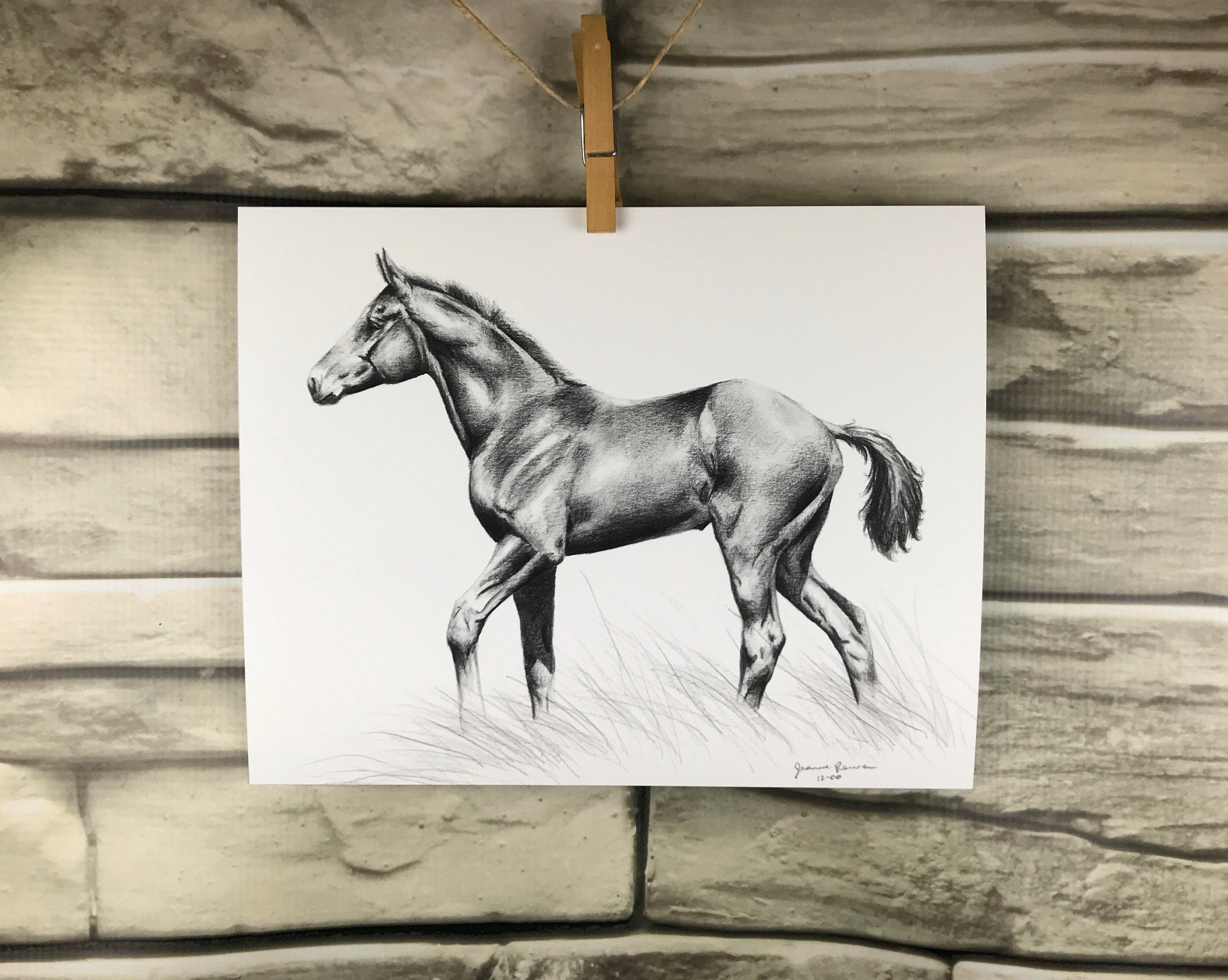 how to draw a realistic horse