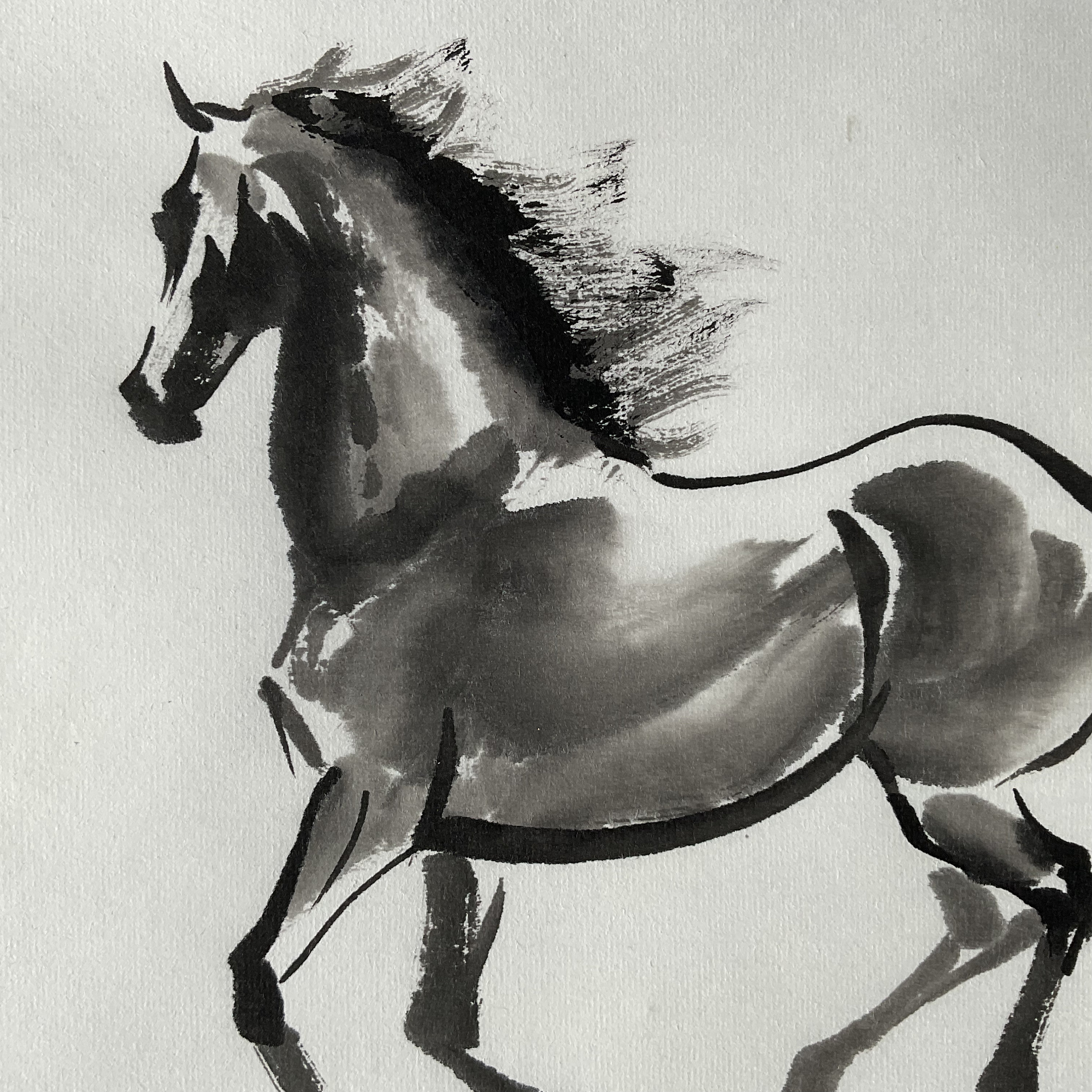 Học cách vẽ con ngựa bằng bút chì cho người mới bắt đầu