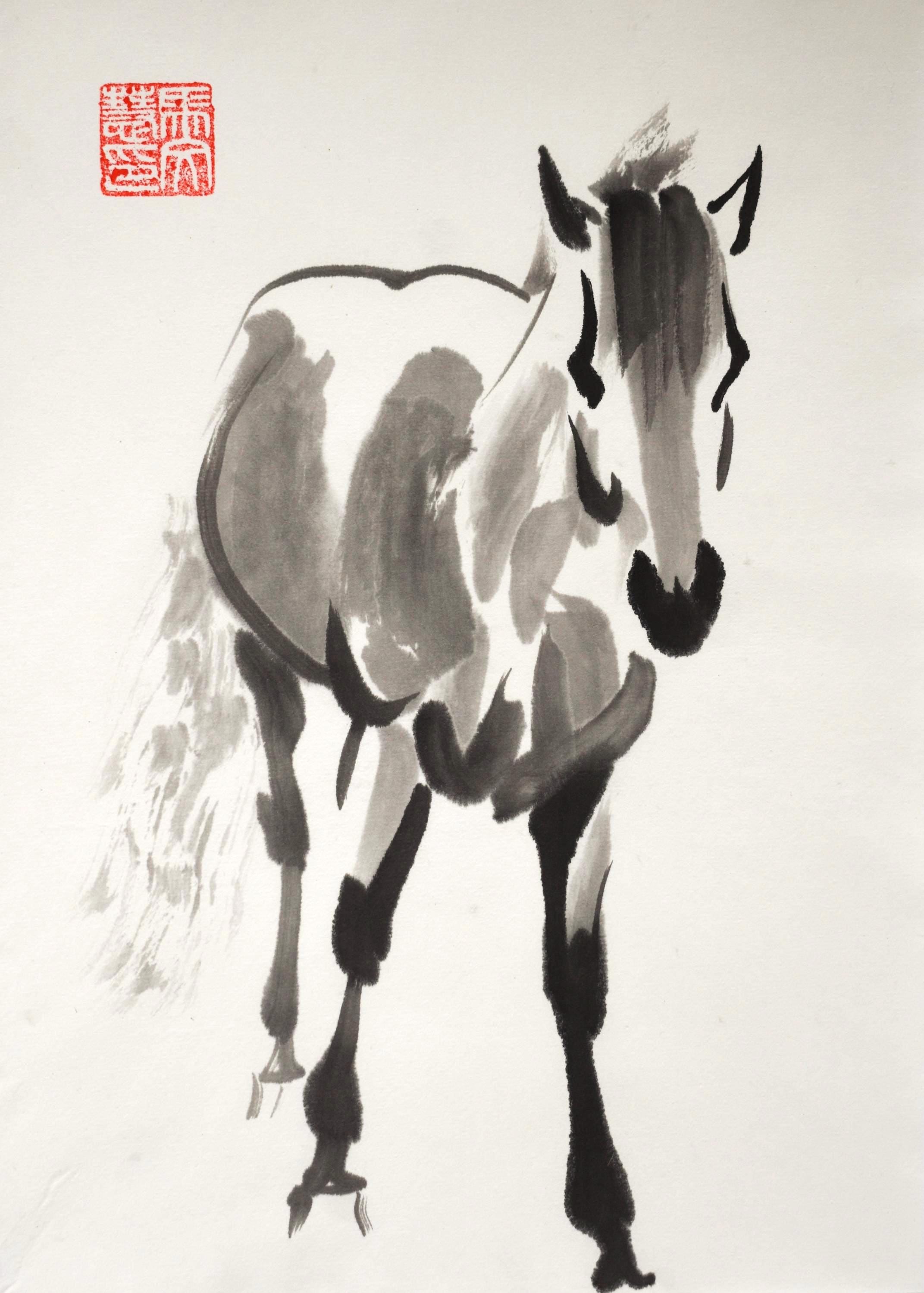 Year of the Horse 2026 