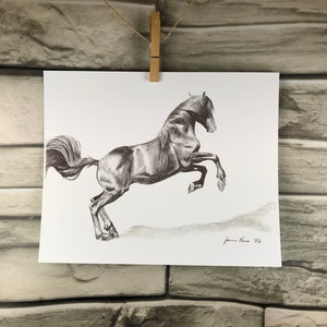 Horse art print &quot;Launch&quot; of original graphite pencil horse drawing horse sketch horse pencil sketch equestrian art horse lover gift animal