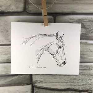 Horse art original pen & ink horse drawing sketch "Head Study"