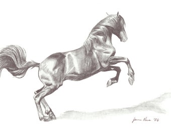 Horse art print "Launch" of original graphite pencil horse drawing horse sketch horse pencil sketch equestrian art horse lover gift animal