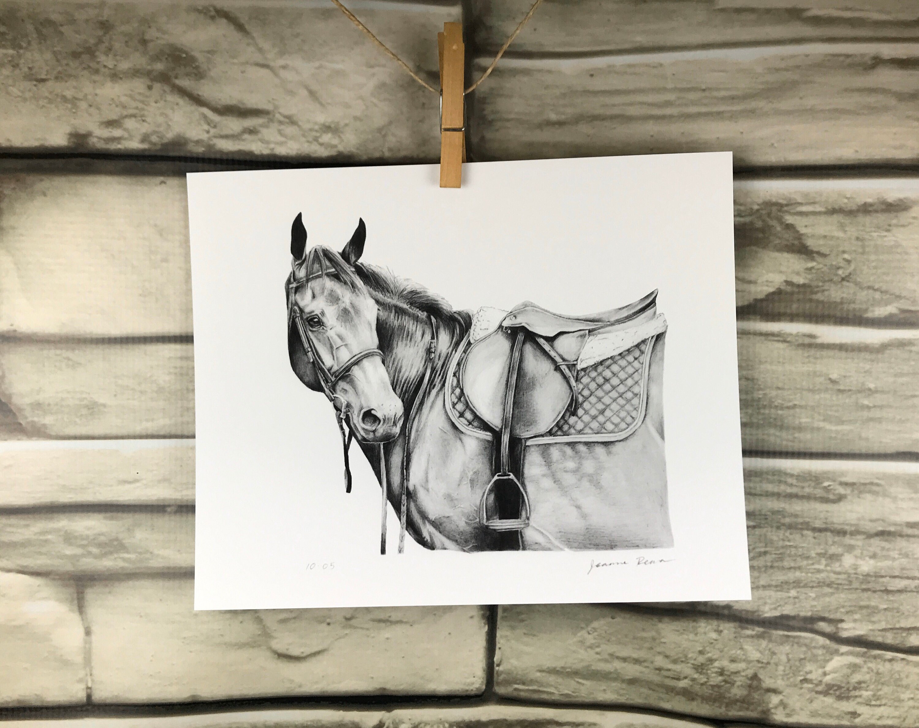 Horse Pencil Drawing