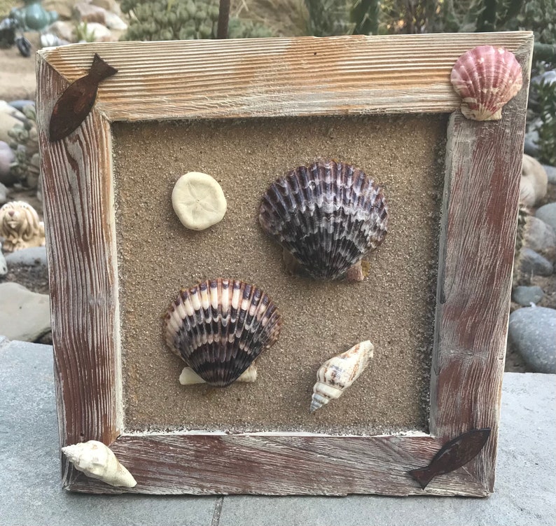 Shabby beachy and distressed framed sea shell art