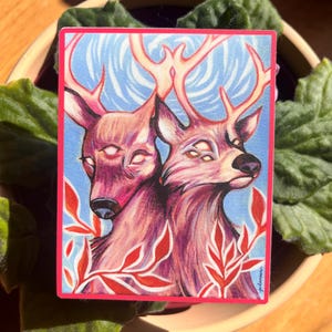 Two-Headed Deer Decorative Decal Waterproof Vinyl Sticker - Oddities and Curiosities Freak of Nature Stationery Funky Unique Gift - &quot;As One&quot;