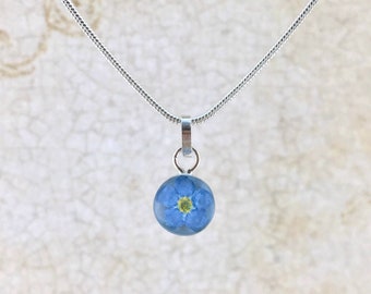 Forget me not Necklace, Miniature Forget me not Flower, Forget me not pendant, Pressed Flower Jewelry Memorial Jewelry