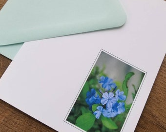 Note Card Set // Blue Flower