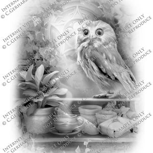 Digital Download Coloring Page / Owl Coloring Pages / Owl Post / Greyscale / Grayscale Adult Coloring / Owl Magical / Wildlife Coloring Page image 2