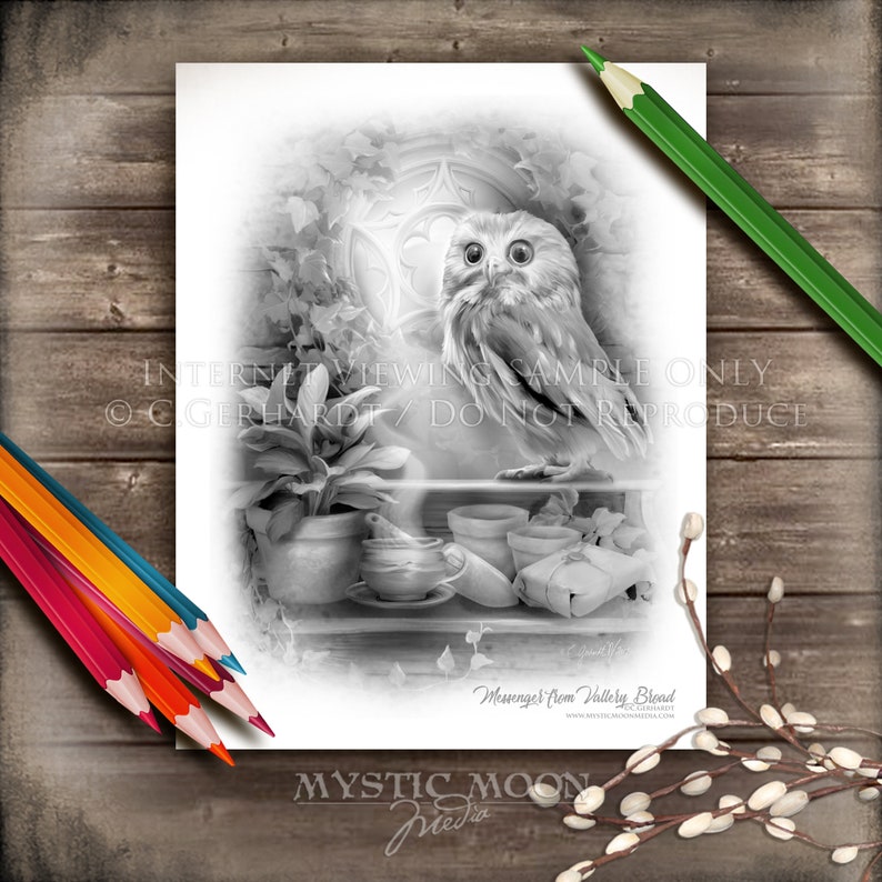 Digital Download Coloring Page / Owl Coloring Pages / Owl Post / Greyscale / Grayscale Adult Coloring / Owl Magical / Wildlife Coloring Page image 1