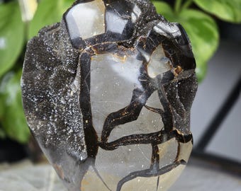 Samtige Septarien Freeform Schmuck aus Madagaskar mit Kristallen - 18cm gross