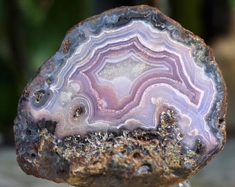 May include: A polished agate slice featuring concentric bands of light purple, lavender, and white, with a rough, dark brown, textured outer crust and a crystalline center, displayed on a clear plastic stand.