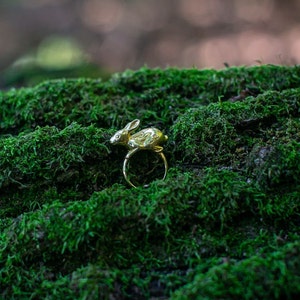 Rabbit ring, year of the rabbit ring, image 2